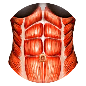 Abs