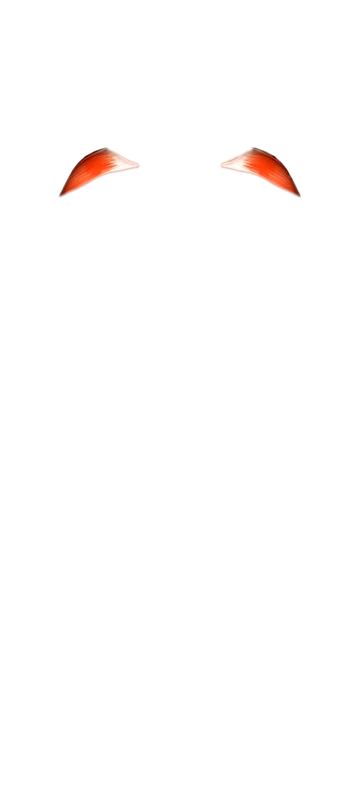 Back view muscle