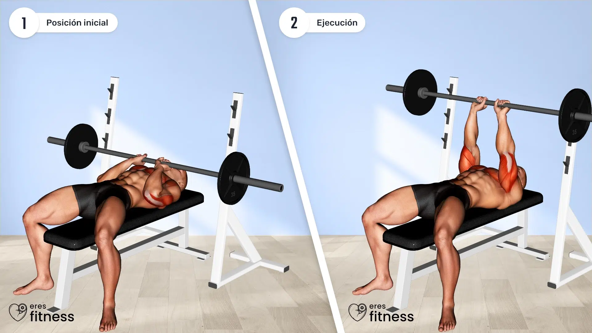 00301105-Barbell-Close-Grip-Bench-Press_Upper-Arms_max