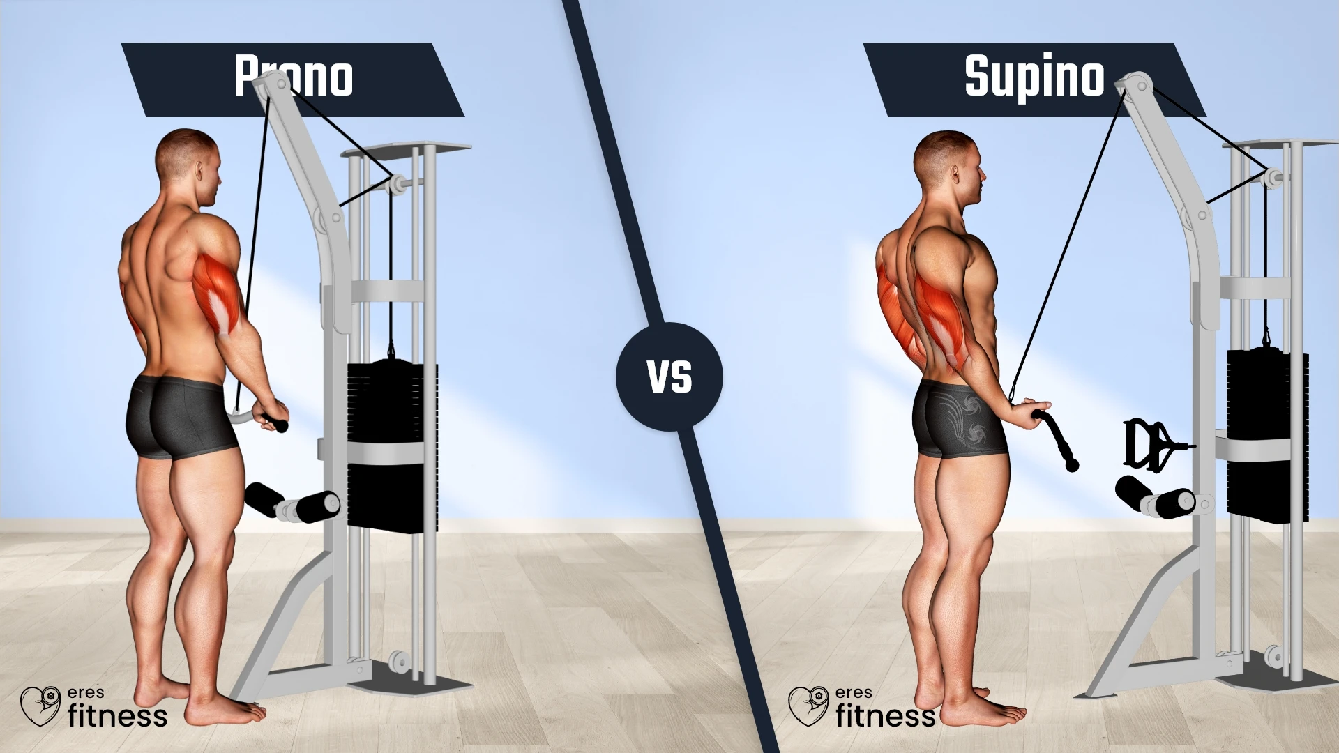 Extensión de tríceps en polea: Agarre supino vs Agarre prono