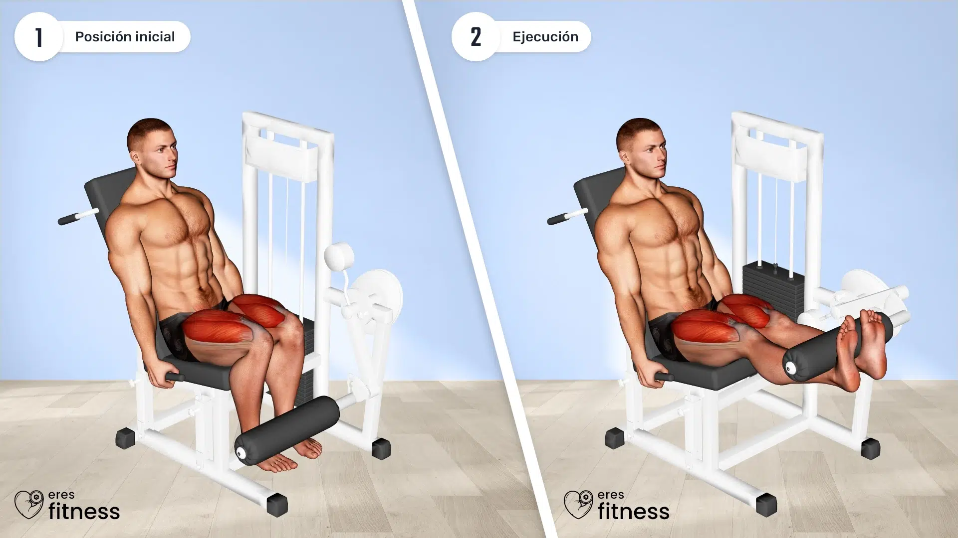 05851105-Lever-Leg-Extension_Thighs_max