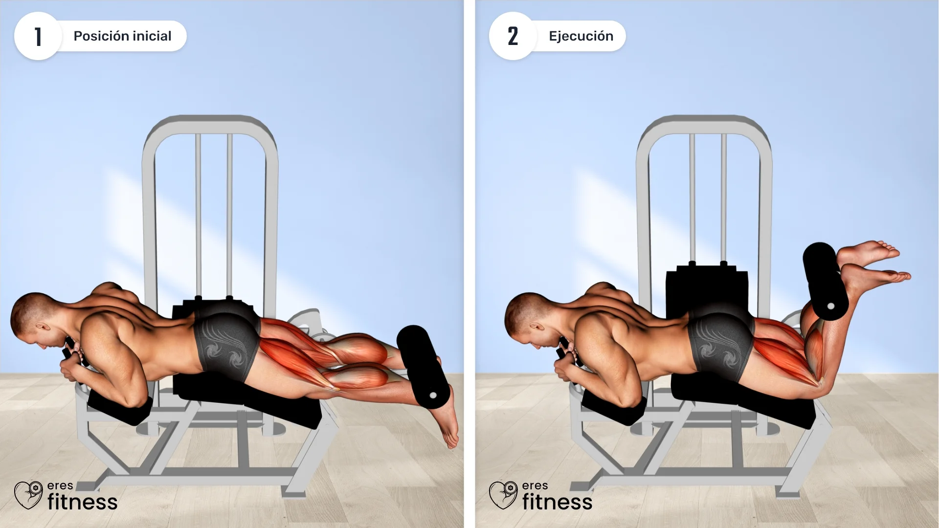 ¿Cómo hacer el Curl femoral acostado en máquina?