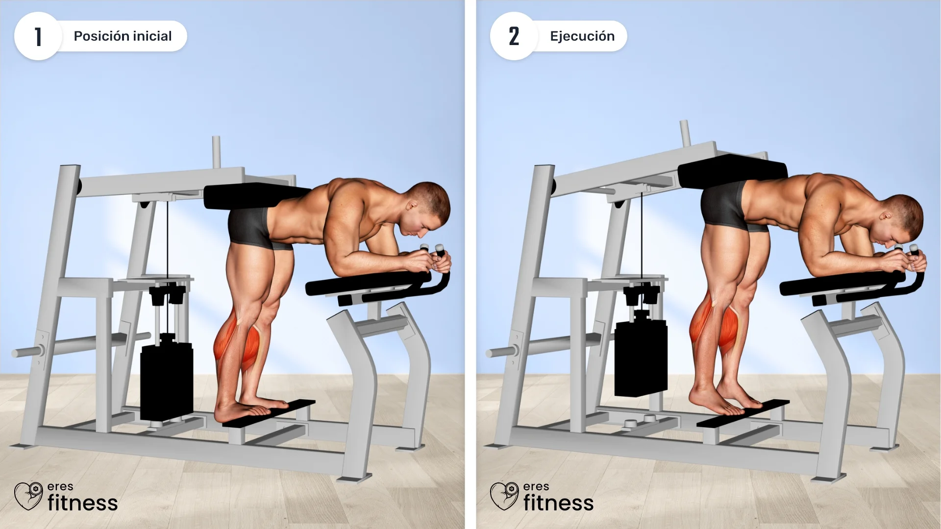 ¿Cómo hacer los Donkey Calf Raises?
