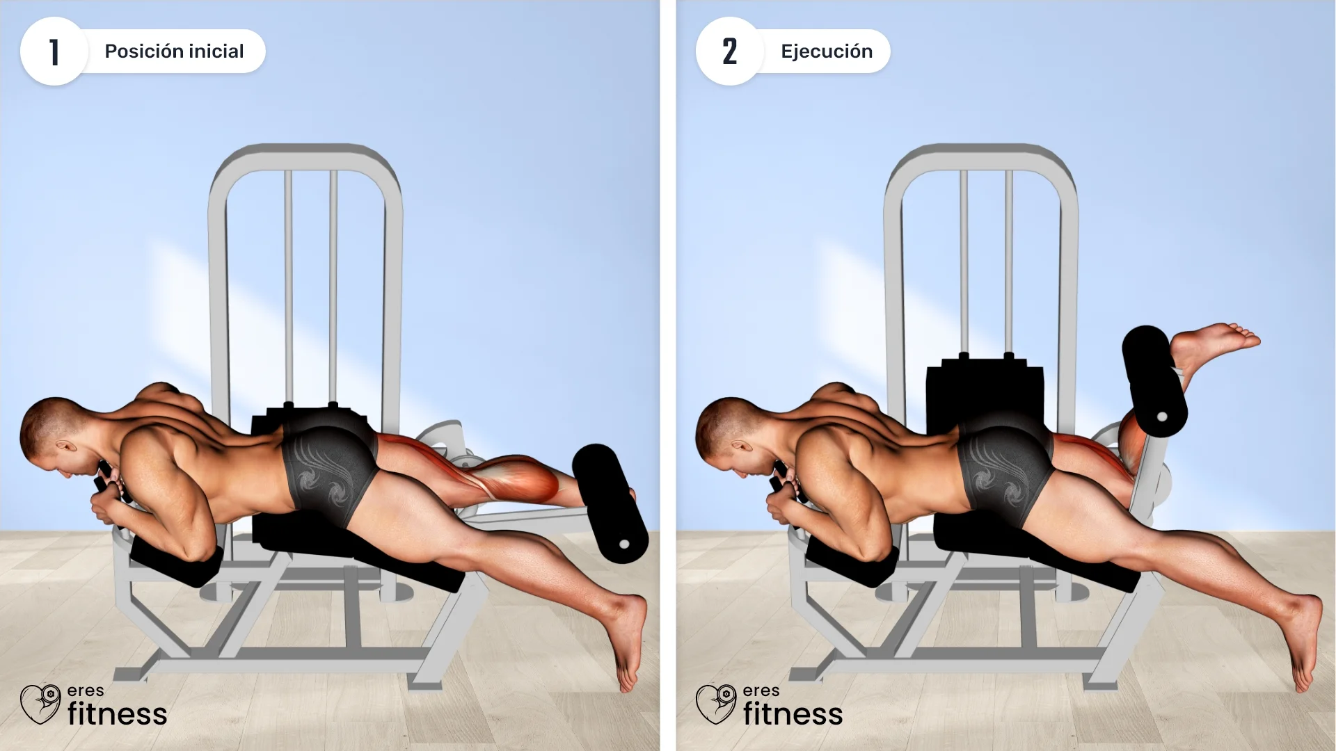 ¿Cómo hacer el curl femoral a una pierna en máquina? ¿Cómo hacer el curl femoral a una pierna en máquina?