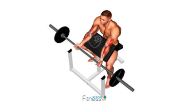 Curl de bíceps en banco predicador