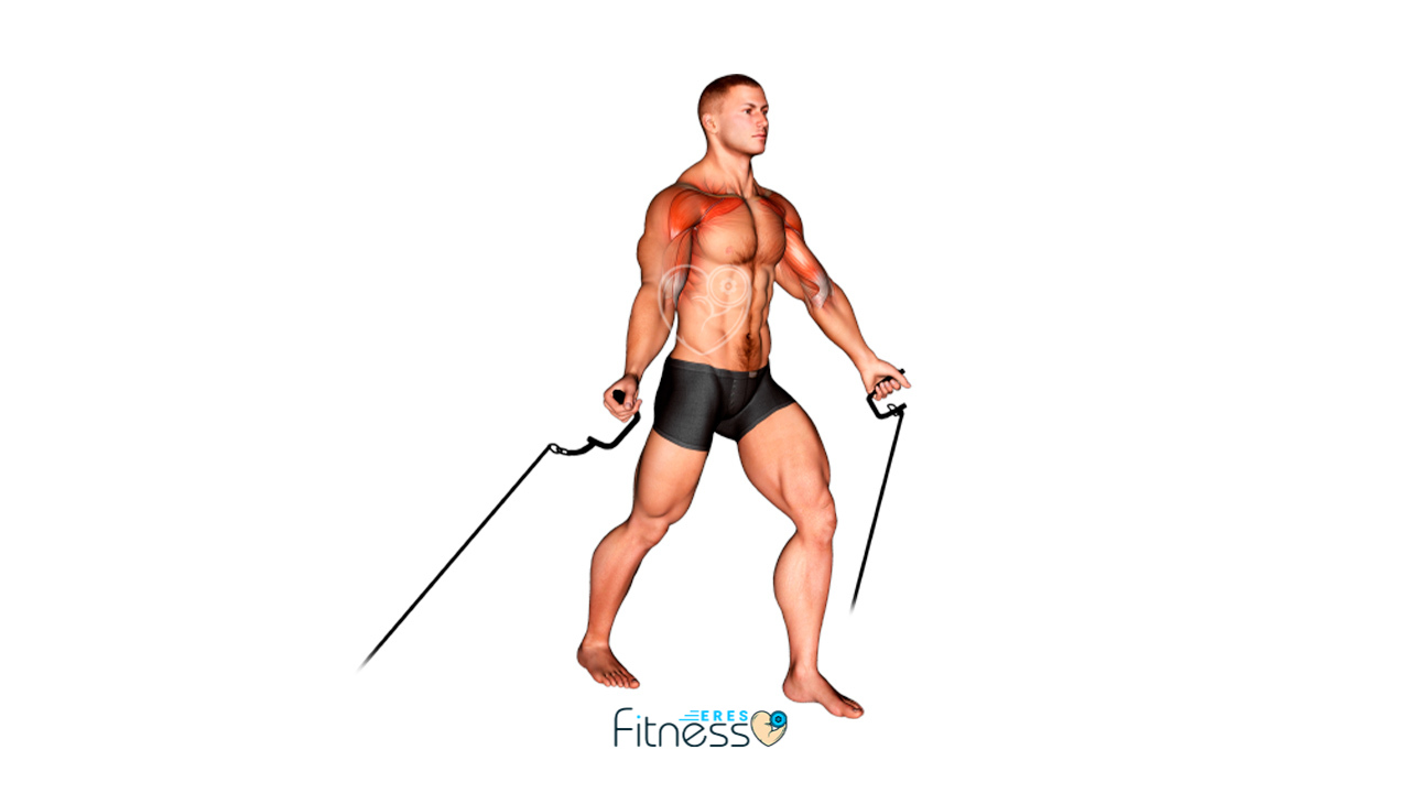Cruces en polea baja para pectorales ¿Qué es y cómo hacerlo correctamente? Cruces en polea baja para pectorales ¿Qué es y cómo hacerlo correctamente? Ejercicio de Gimnasio