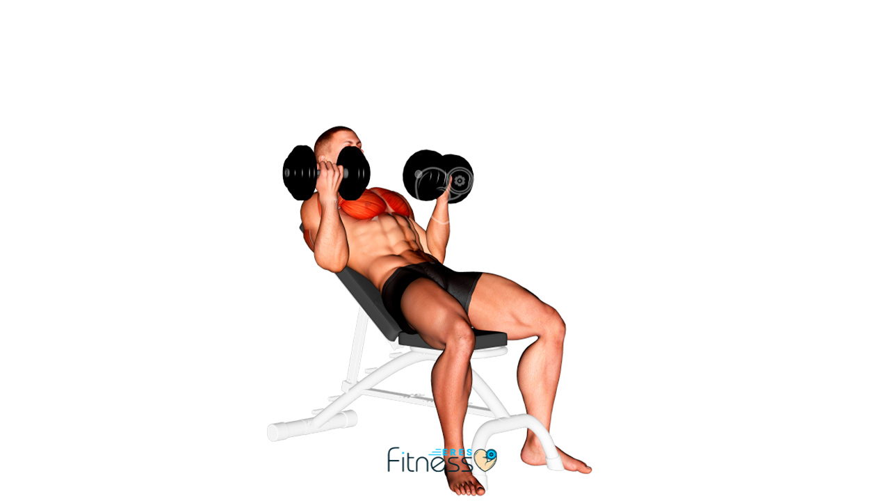 03241105-Dumbbell-Incline-Palm-in-Press_Chest_max