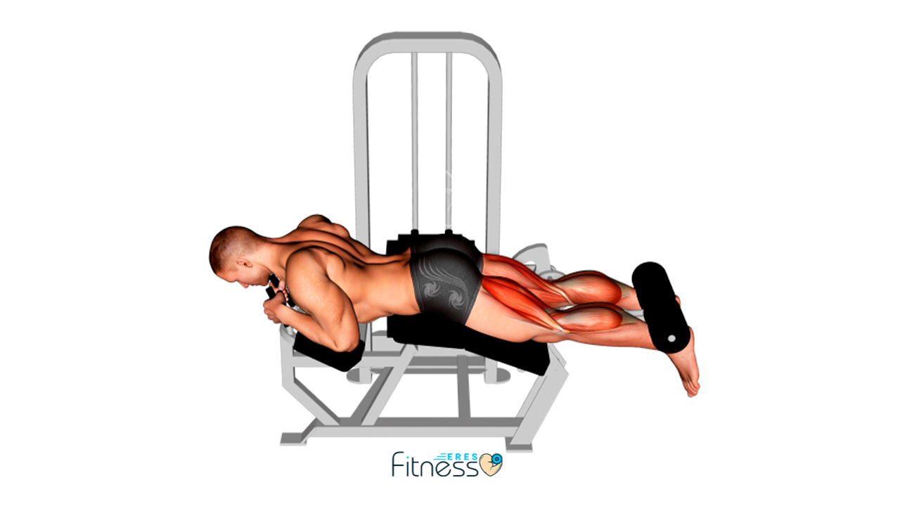 Curl femoral acostado en máquina ¿Cómo hacer este ejercicio para isquiotibiales?