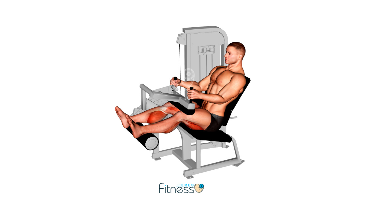 Curl femoral sentado en maquina
