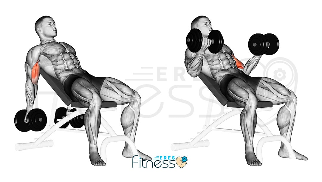 Curl bíceps inclinado con mancuerna