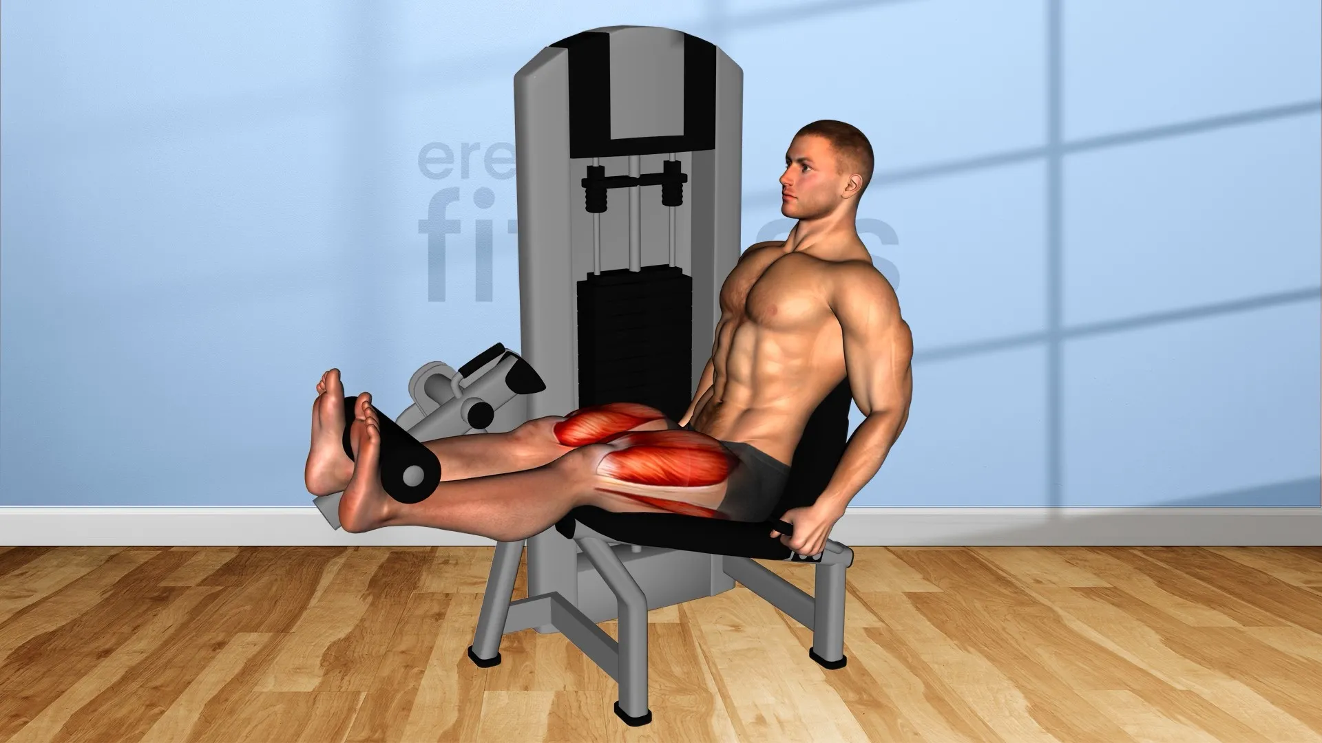Extensión de piernas en máquina