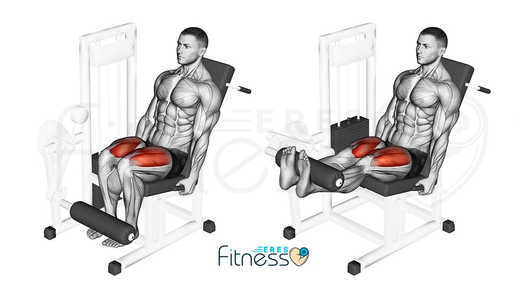 Extensión de piernas en máquina