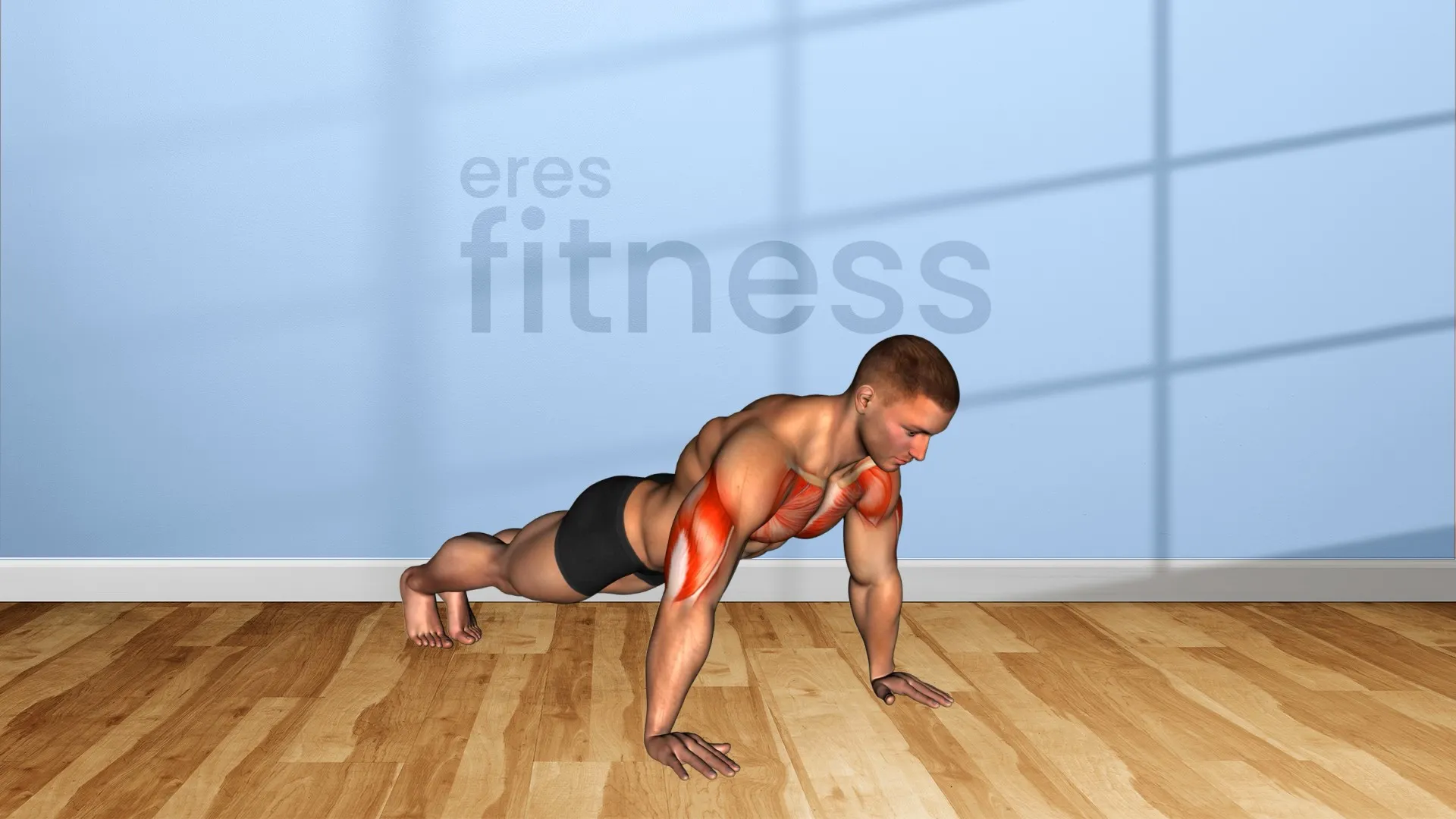 Flexiones / Lagartijas (hombre)