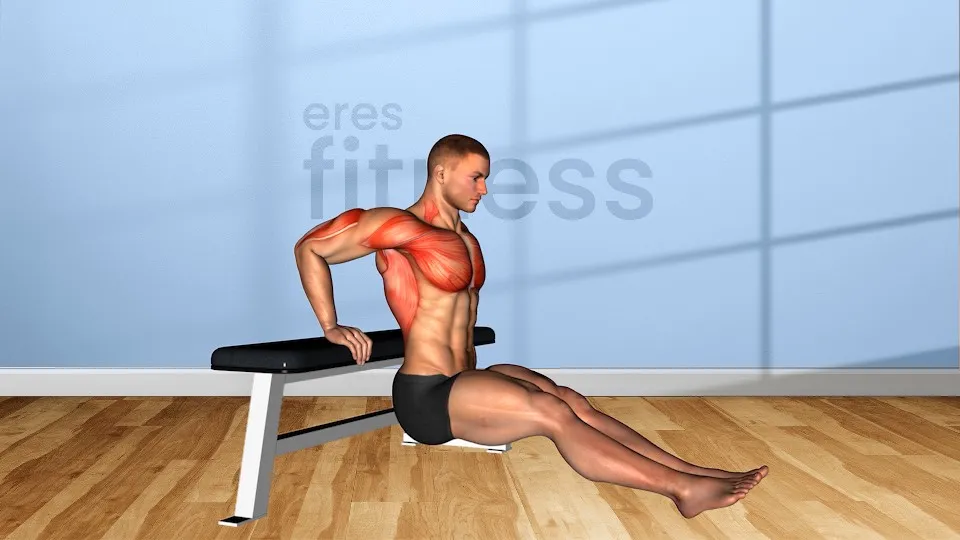 Fondos en banco para triceps
