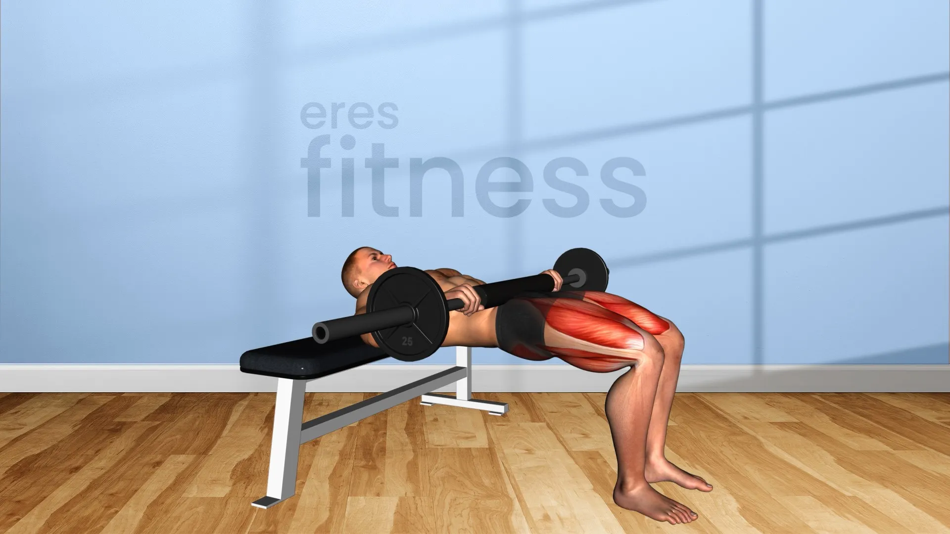 Hip Thrust con barra