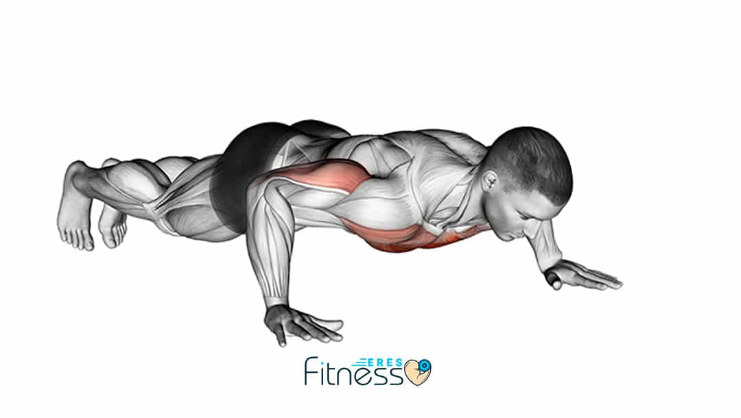 Flexiones o lagartijas: Un ejercicio básico pero muy completo