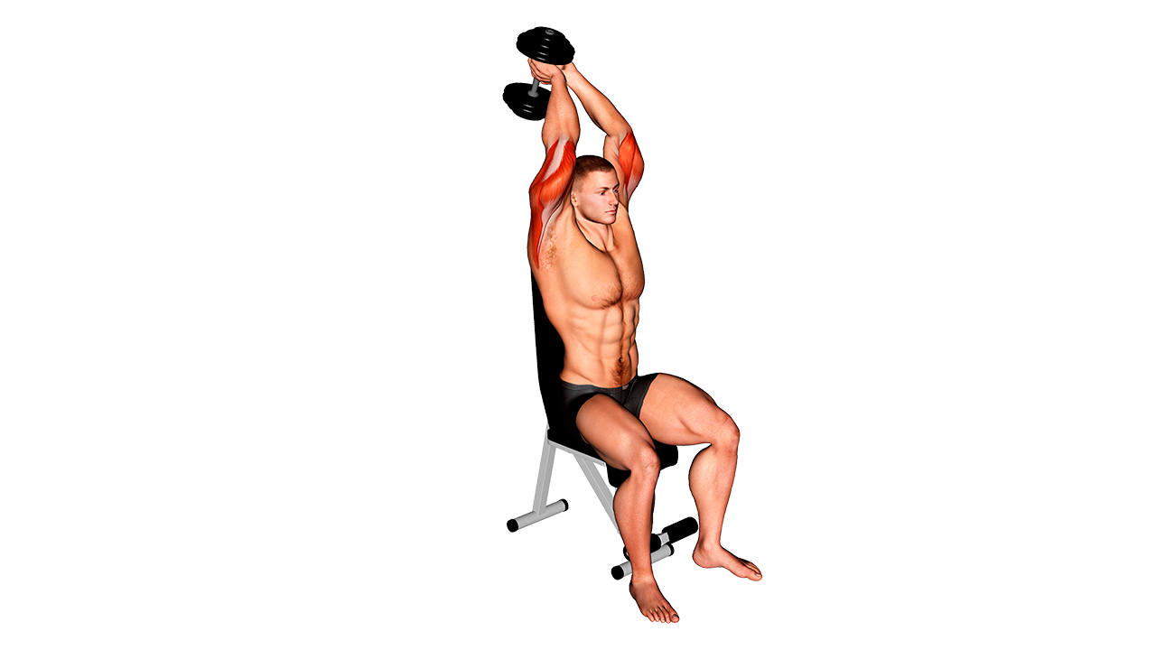 Extensión de tríceps tras nuca con mancuerna ¿Qué es y cómo hacerlo correctamente? Extensión de tríceps tras nuca con mancuerna ¿Qué es y cómo hacerlo correctamente?
