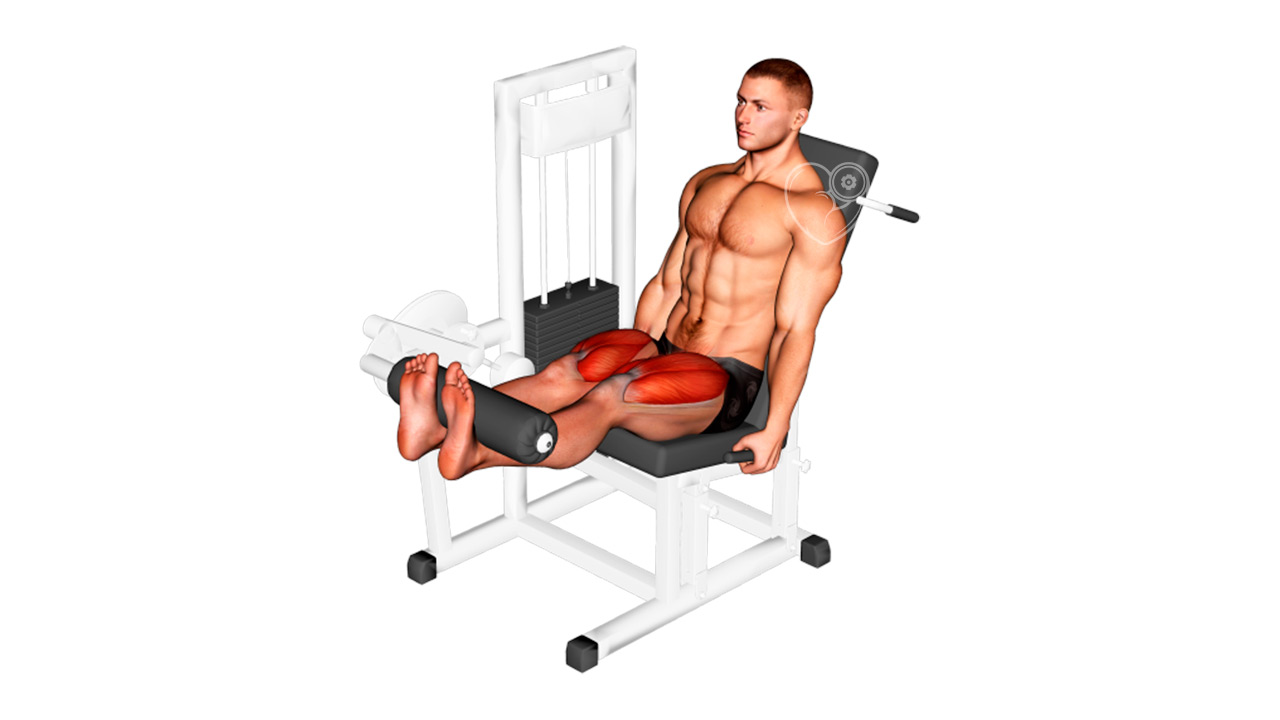 Extensión de piernas en máquina ¿Qué es y cómo hacerlo correctamente? Ejercicio de Gimnasio