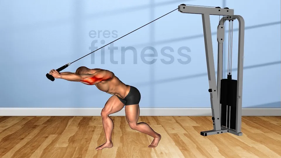 Extension de triceps sobre la cabeza con polea 2