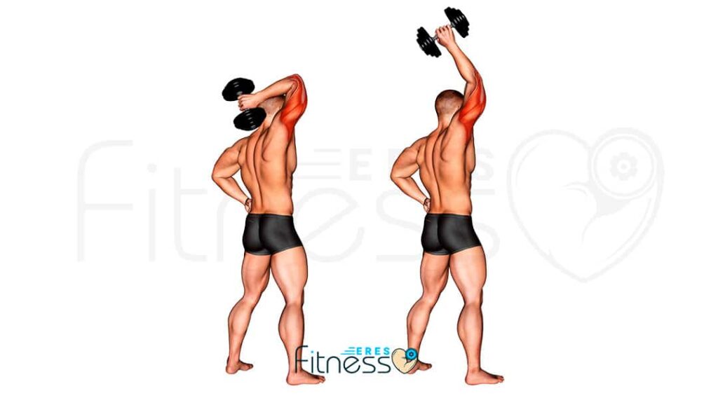 Extensión mancuerna tras nuca con una mano Mejora tríceps