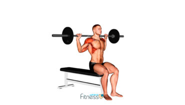 Press tras nuca con barra ¿Qué es y cómo hacerlo correctamente? Ejercicio de Gimnasio