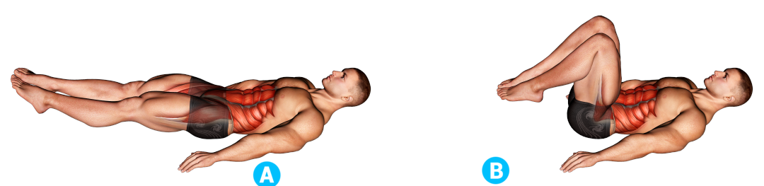 Bottoms Up: Ejercicio para Abdomen ¿Qué es, qué músculos involucra y cómo hacerlo correctamente?