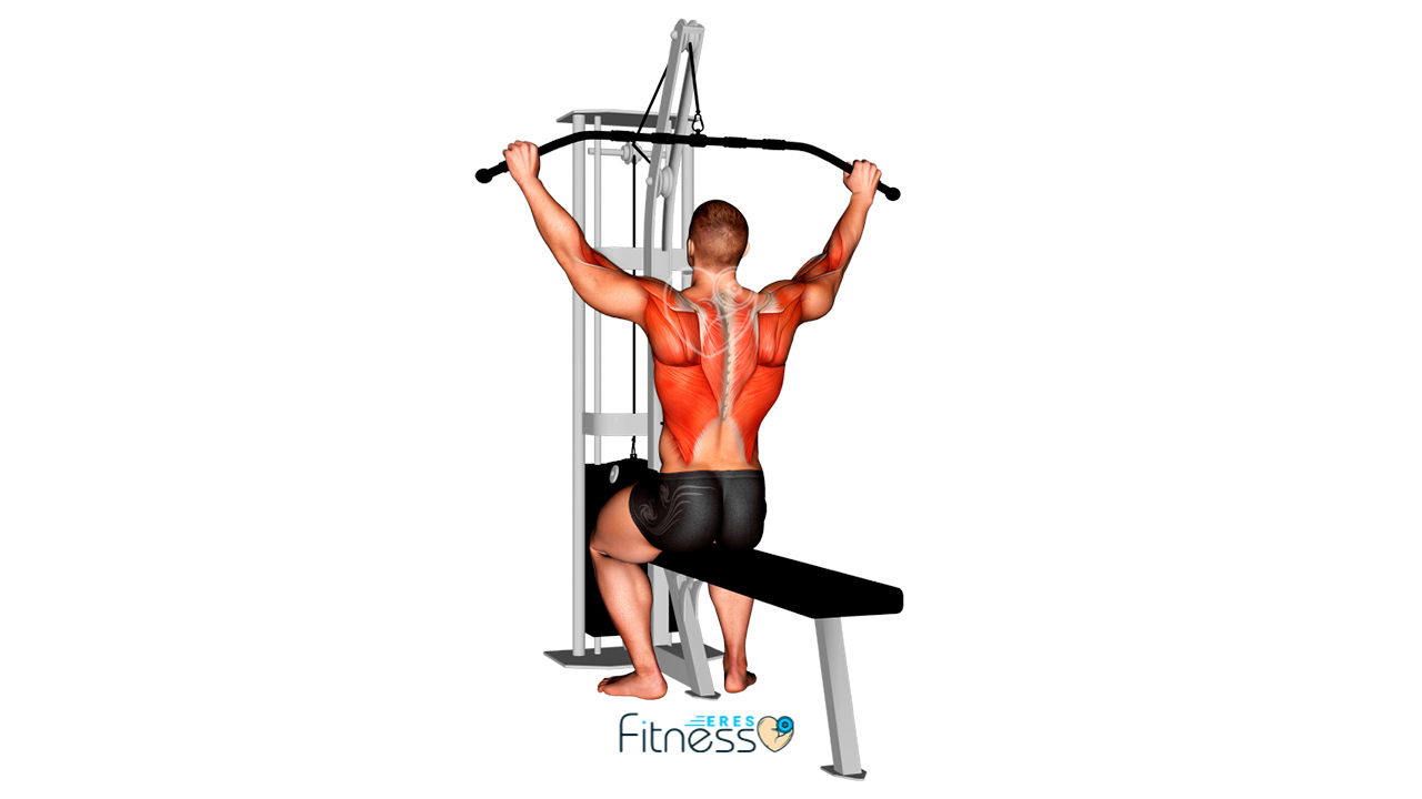 Pull-down o jalón al pecho ancho sentado ¿Qué es y qué músculos trabaja? Pull-down o jalón al pecho ancho sentado ¿Qué es y qué músculos trabaja?