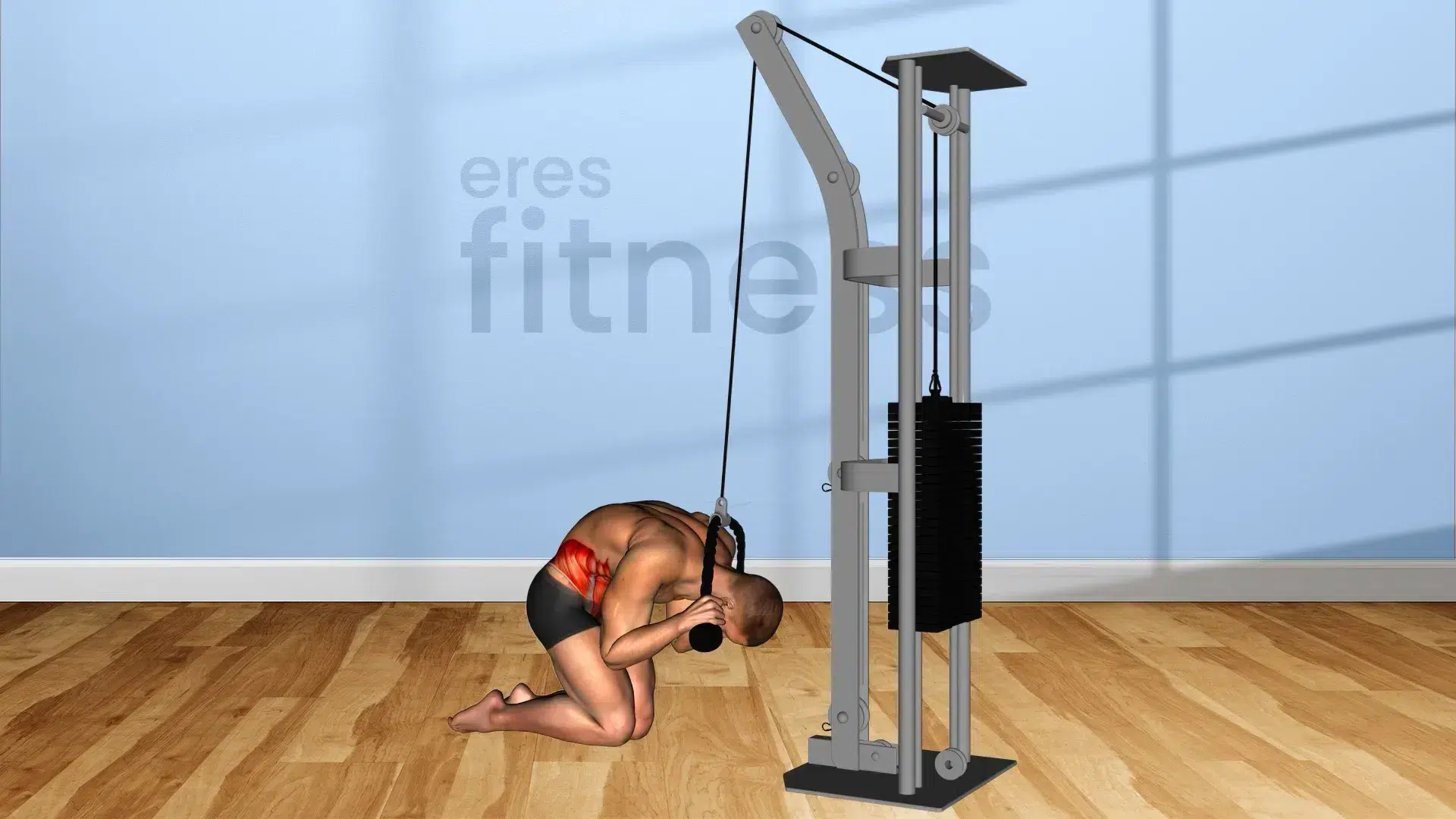 Ejercicio Crunch de rodillas en polea alta