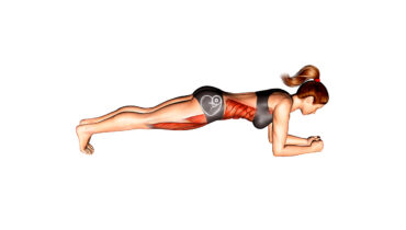 Plank o Plancha ¿Qué es, qué músculos involucra y cómo hacerlo correctamente?