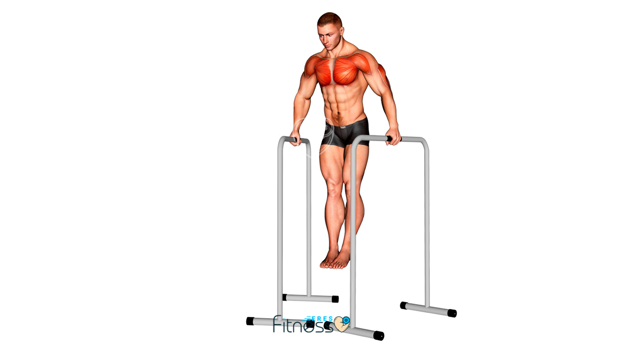 23631105-Wide-Grip-Chest-Dip-on-High-Parallel-Bars_Chest_max