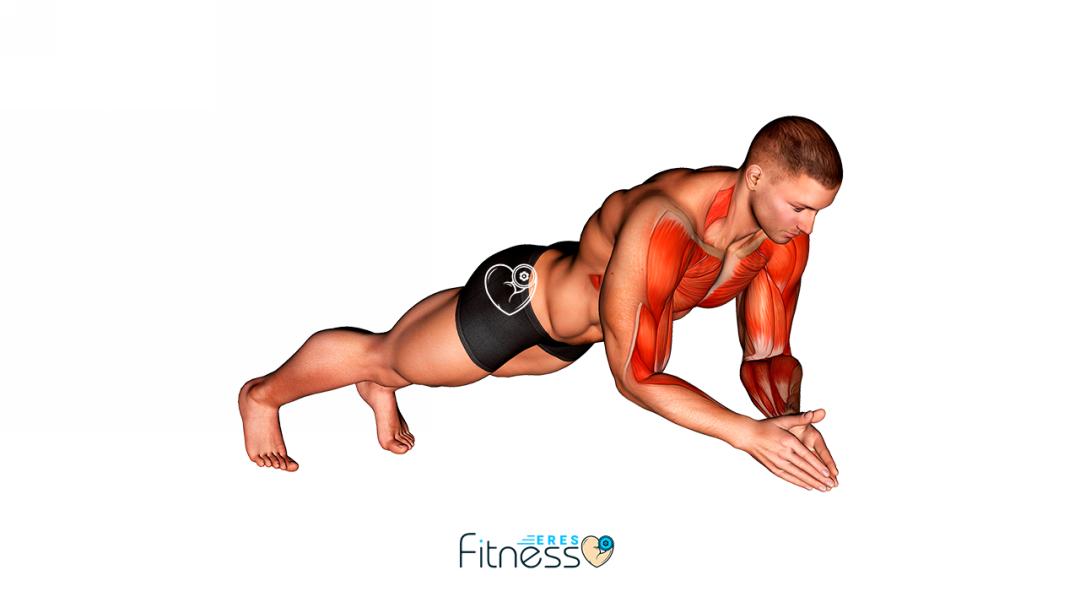 Flexiones de brazo con aplauso ¿Cómo hacerlas y qué músculos trabajan? Flexiones de brazo con aplauso ¿Cómo hacerlas y qué músculos trabaja?