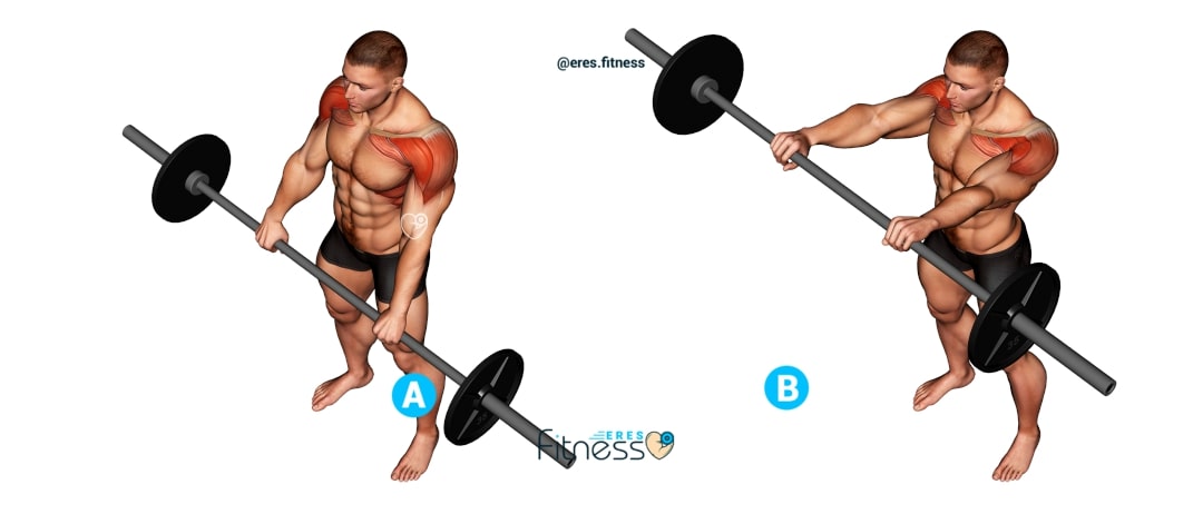 Levantamiento de hombros frontal con barra ¿Cómo hacerlo correctamente? Levantamiento de hombros frontal con barra ¿Cómo hacerlo correctamente?