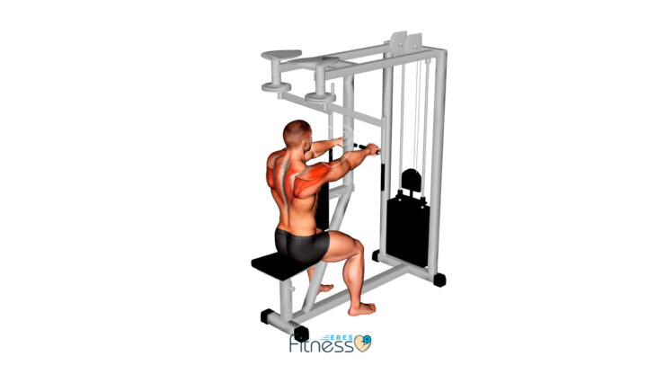 Aperturas invertidas en máquina (posición inicial) - ejercicio para hombros
