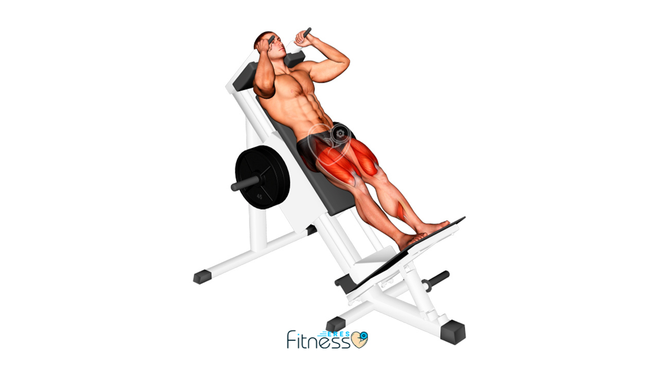 07431105-Sled-Hack-Squat_Hips_max 07431105-Sled-Hack-Squat_Hips_max