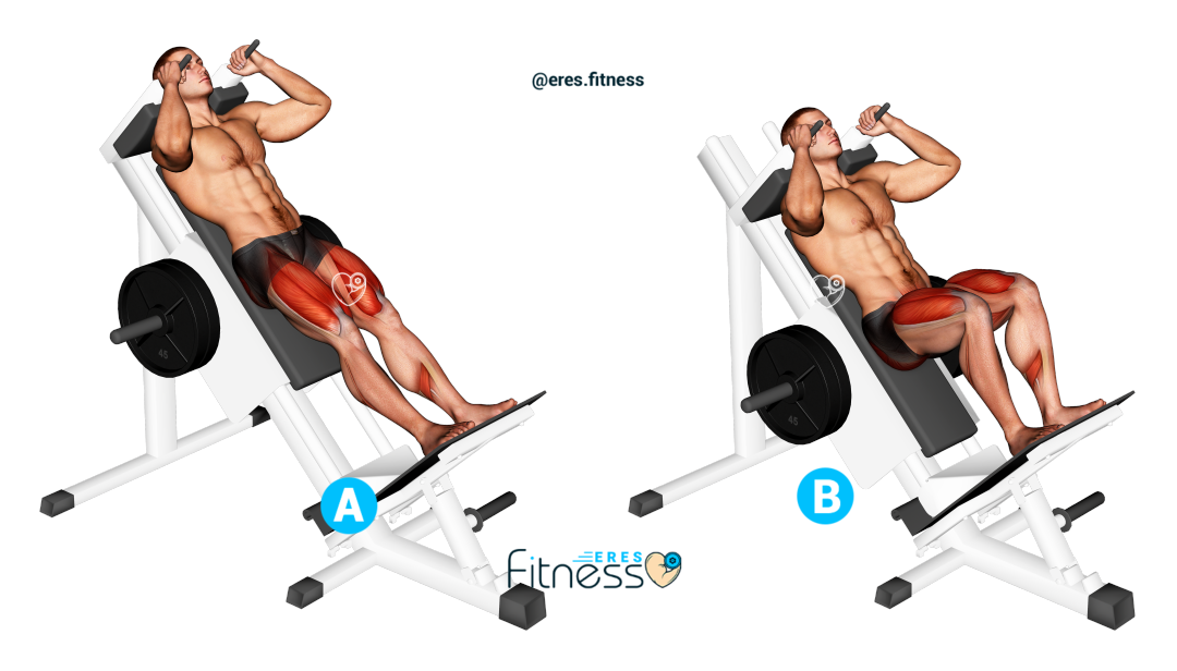Hack Squat Hack Squat