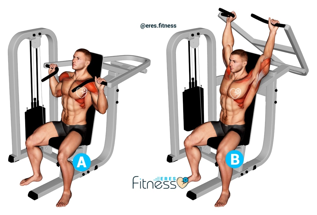 ▷ Press de hombros sentado en máquina ¿Cómo hacerlo correctamente? ▷ Press de hombros sentado en máquina ¿Cómo hacerlo correctamente?