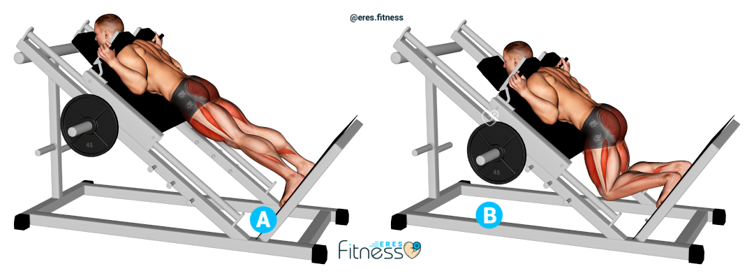 Hack Squat Posición Inversa para glúteos Hack Squat Posición Inversa para glúteos