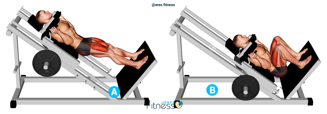 19921105-Sled-Full-Hack-Squat_Thighs_max 19921105-Sled-Full-Hack-Squat_Thighs_max