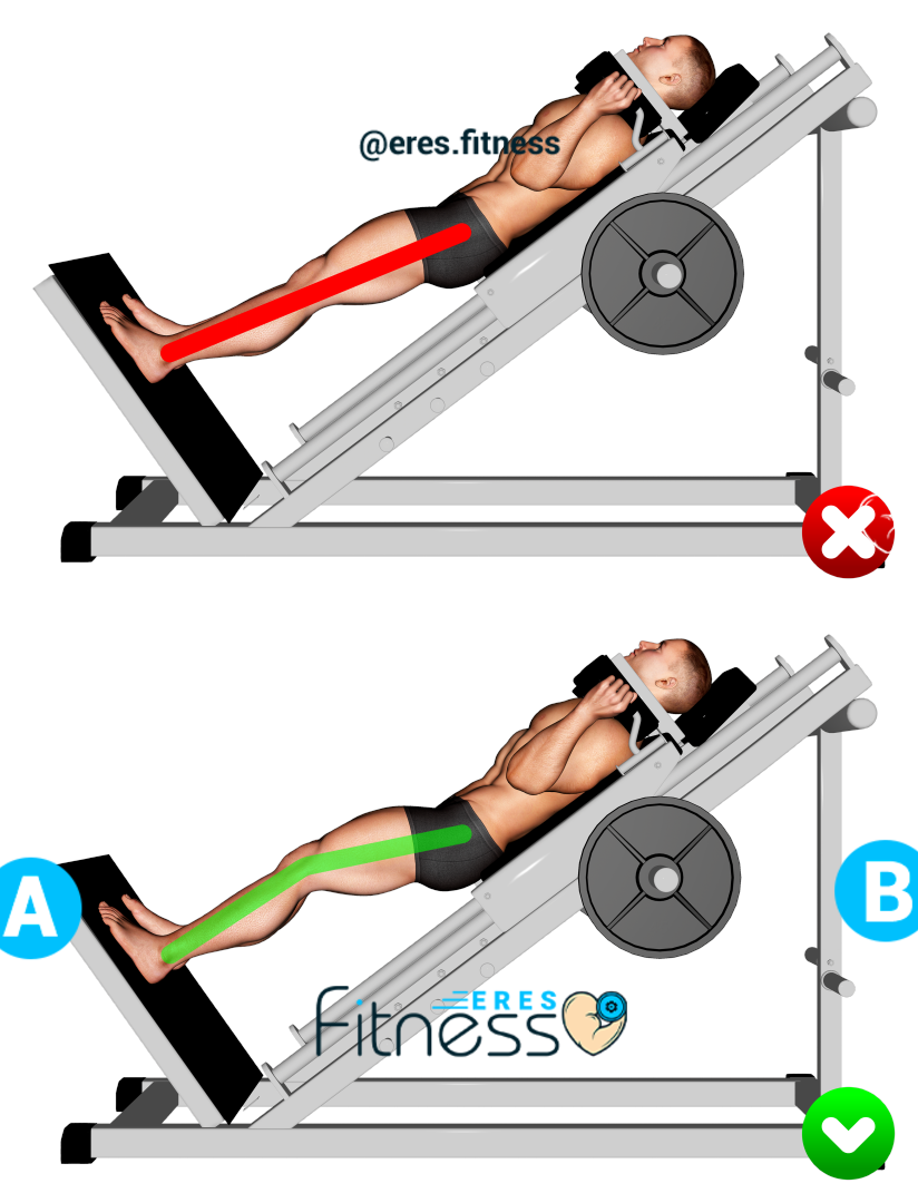 23451105-Sled-Hack-Squat---Legs-(WRONG-RIGHT)_max 23451105-Sled-Hack-Squat---Legs-(WRONG-RIGHT)_max