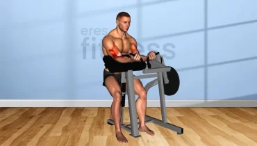 Ejercicio de Curl concentrado en máquina de discos