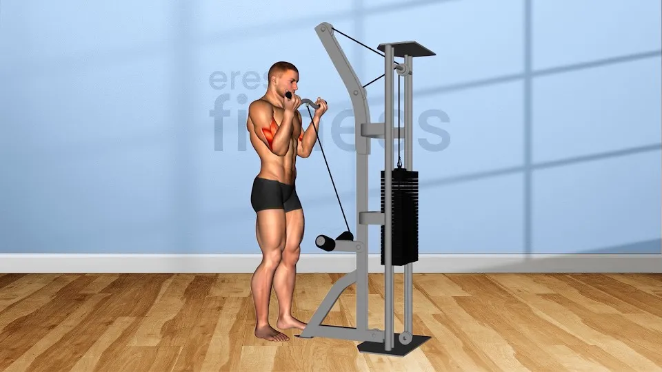Curl de biceps en polea flat Curl de biceps en polea