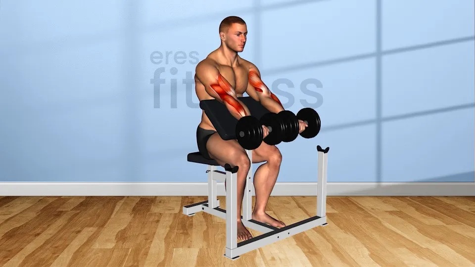 Ejercicio Curl predicador con mancuernas