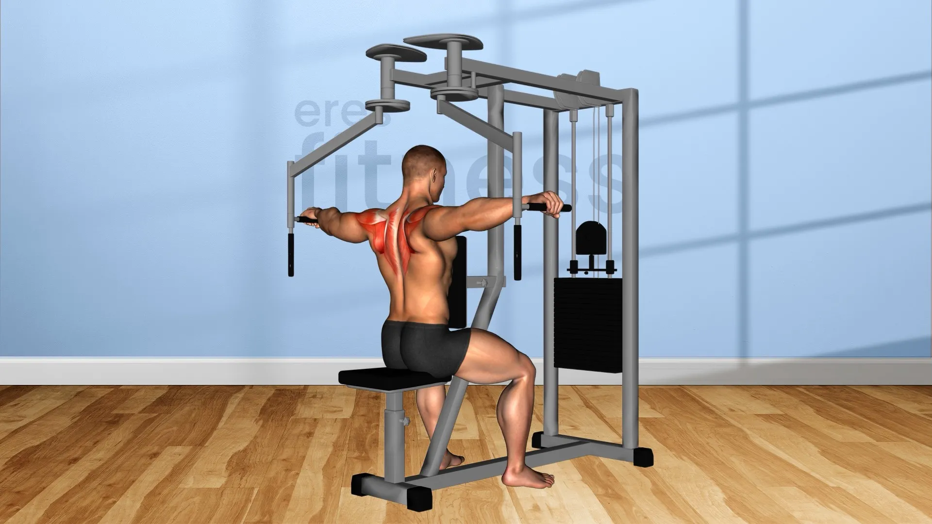 Ejercicio Deltoides posterior sentado en máquina Ejercicio Deltoides posterior sentado en máquina