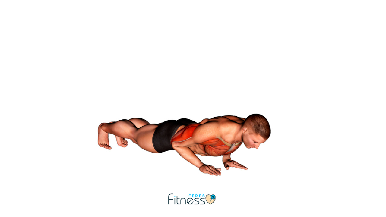 ▷ Flexiones de brazo cerradas 🏆 Ejercicios para brazos 2021