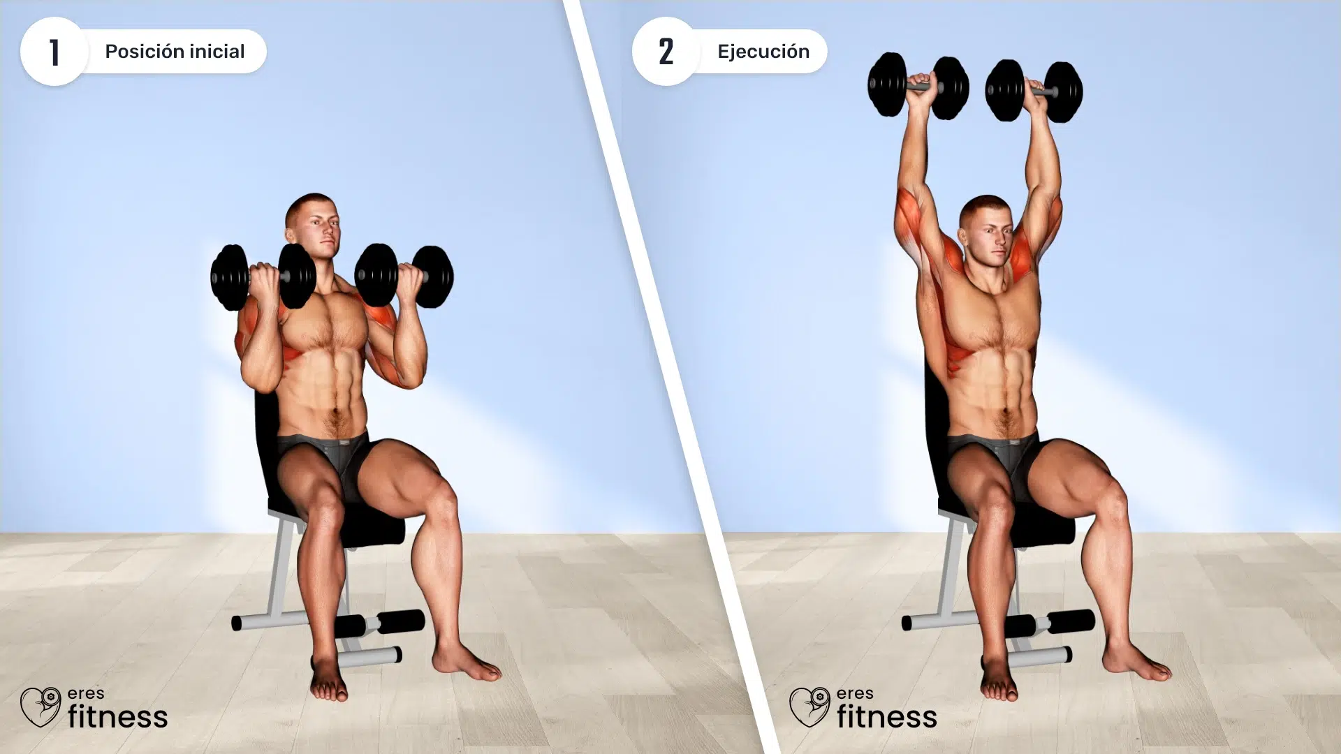 ¿Cómo hacer press Arnold con mancuernas?