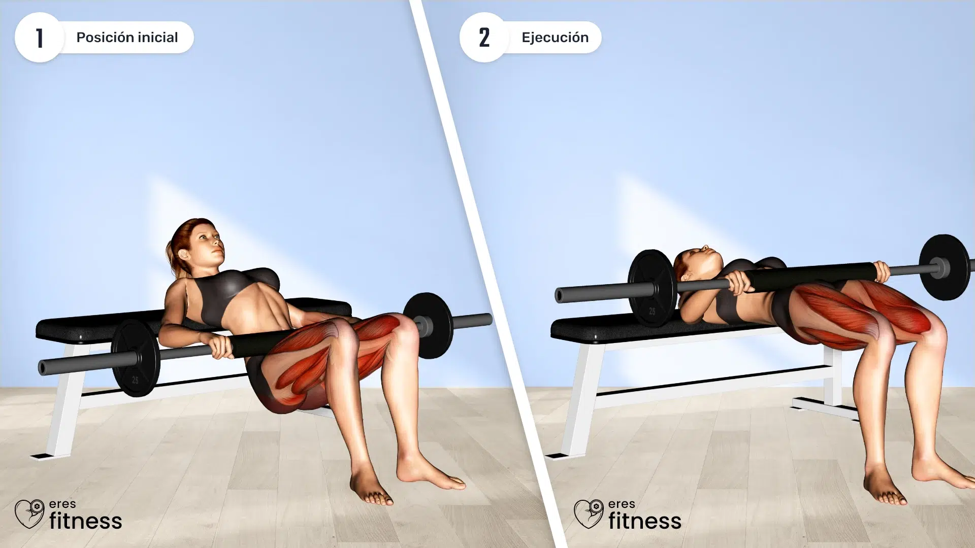 ¿Cómo hacer hip thrust con barra?