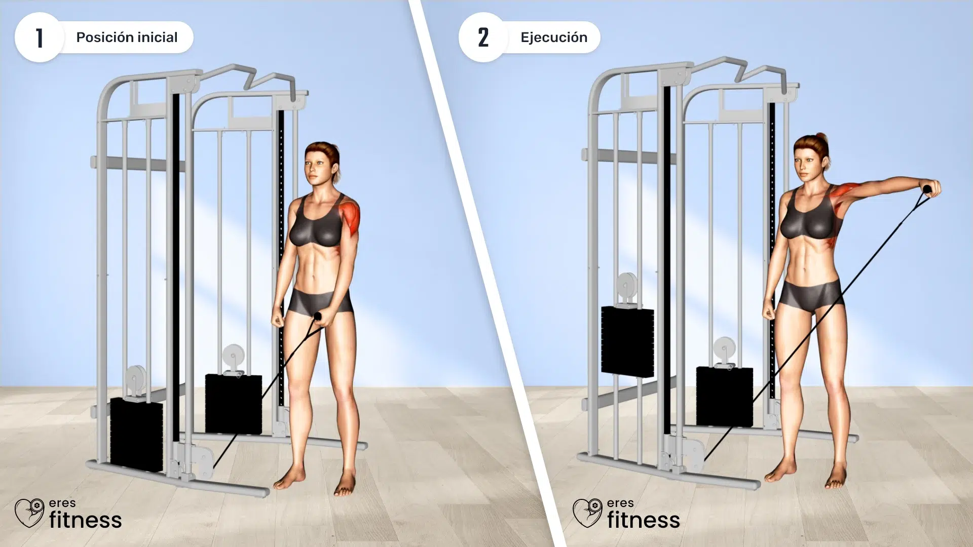 22311105-Cable-One-Arm-Lateral-Raise-(female)_Shoulders_max