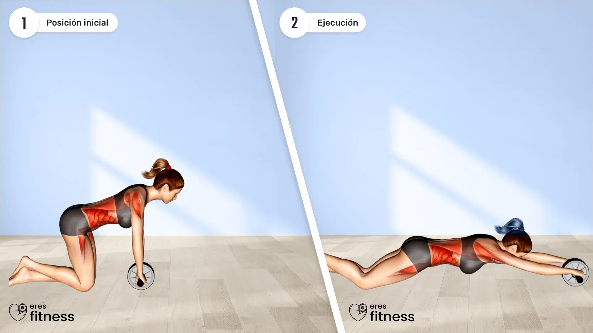 ¿Cómo hacer rueda abdominal de rodillas?