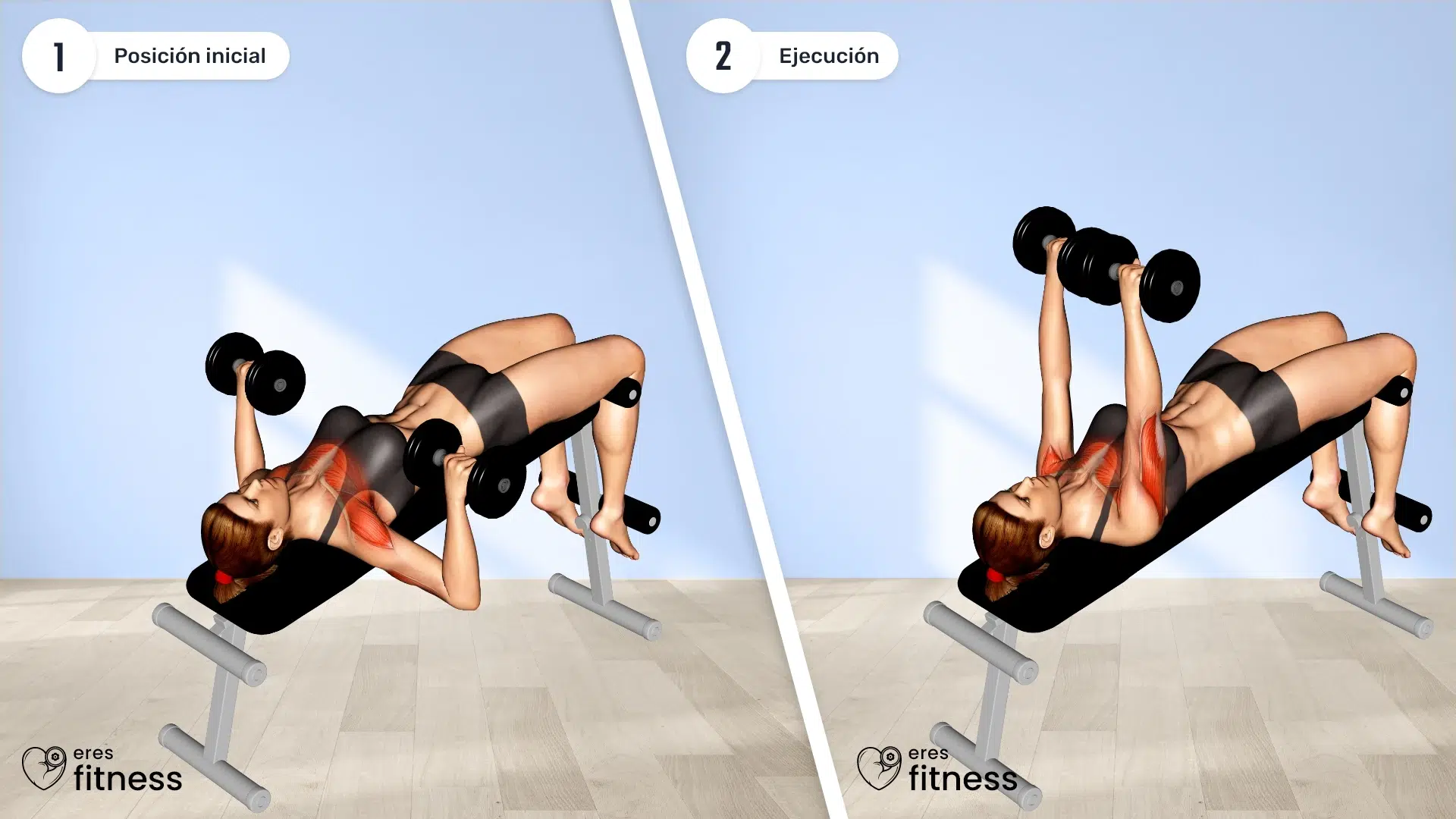 24521105-Dumbbell-Decline-Bench-Press-(female)_Chest_max