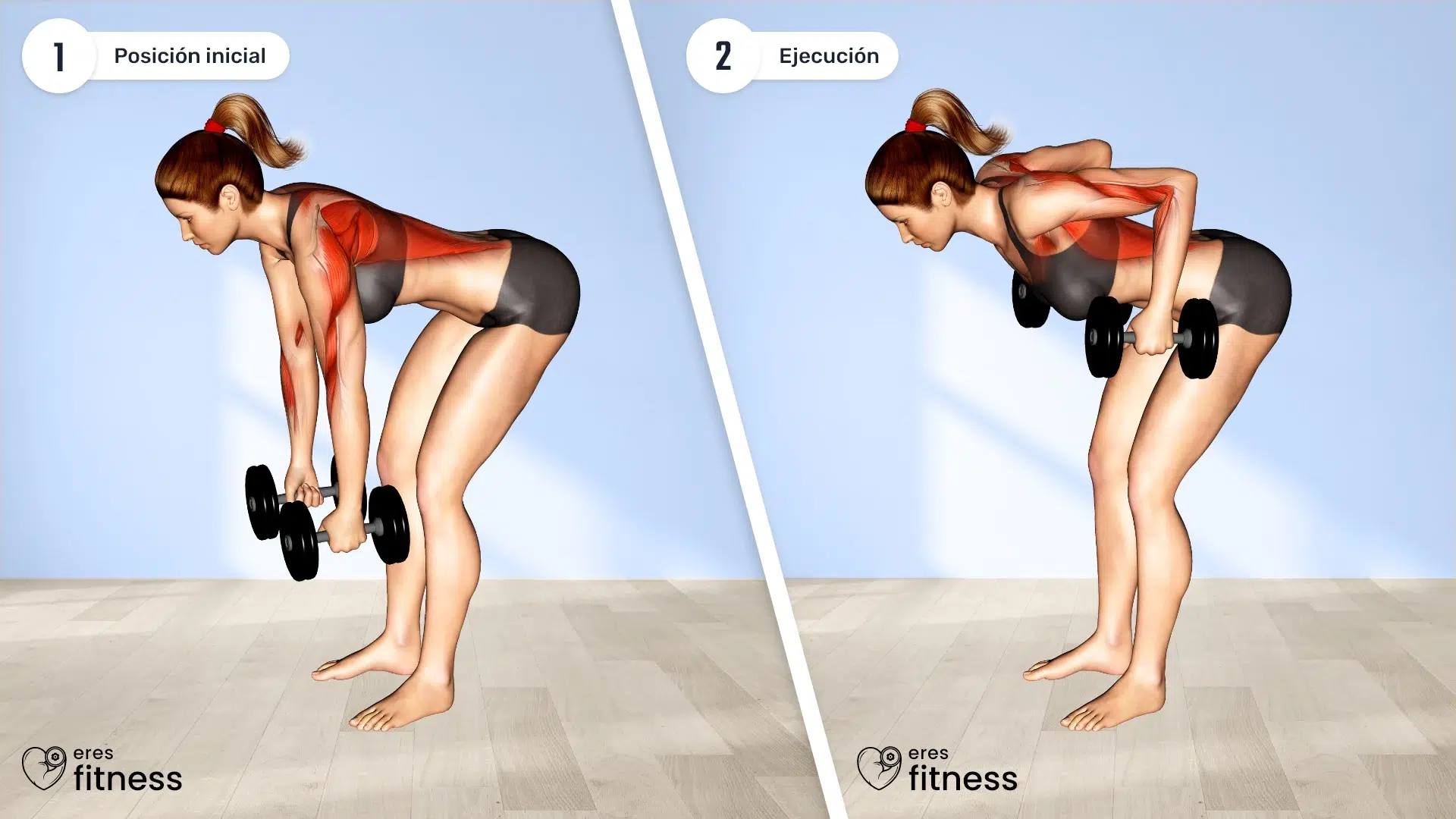 24821105-Dumbbell-Bent-Over-Row-(female)_Back_max